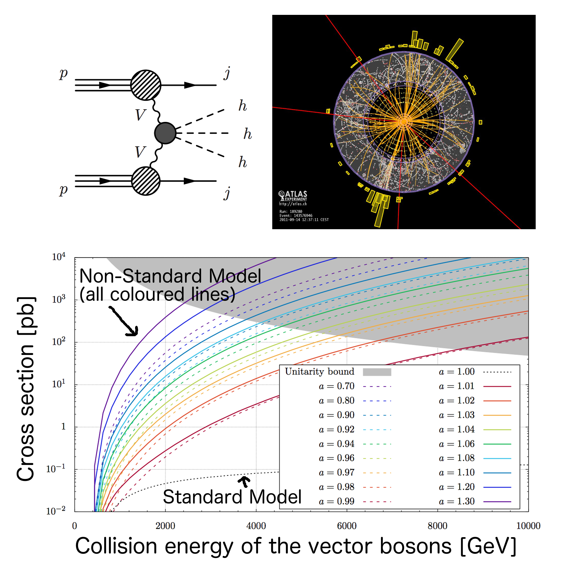 Boson Particle Diagram