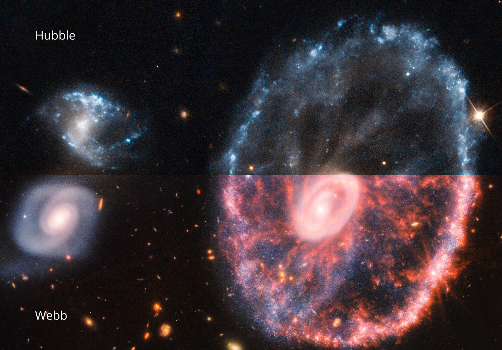 Cartwheel Galaxy — Hubble Space Telescope (left) versus JWST NIRCam and MIRI composite (right), showing how each observatory reveals different structural detail