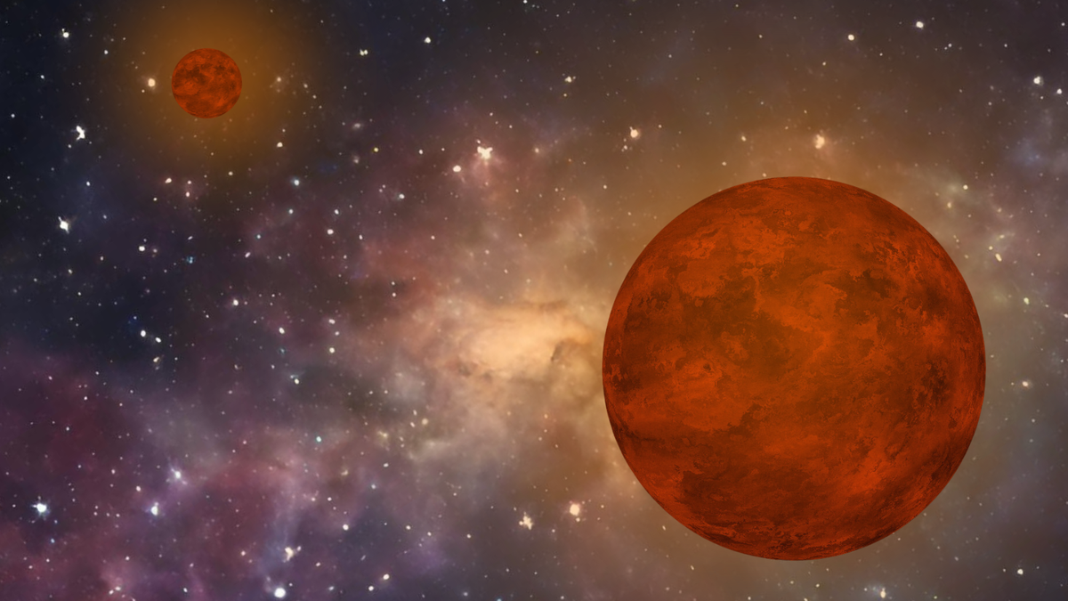 Binary Brown Dwarf Star
