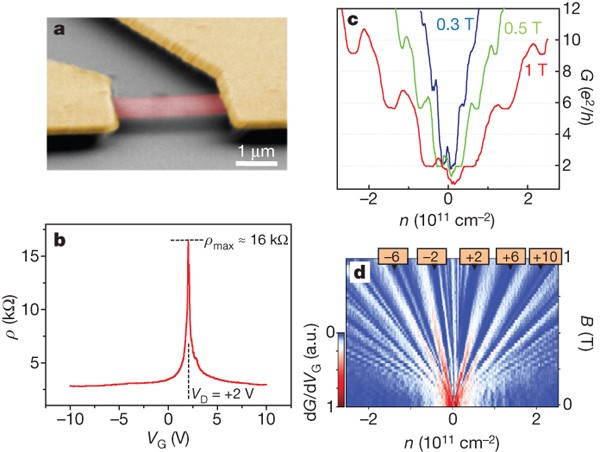 Observation of the fractional quantum Hall effect in graphene ...