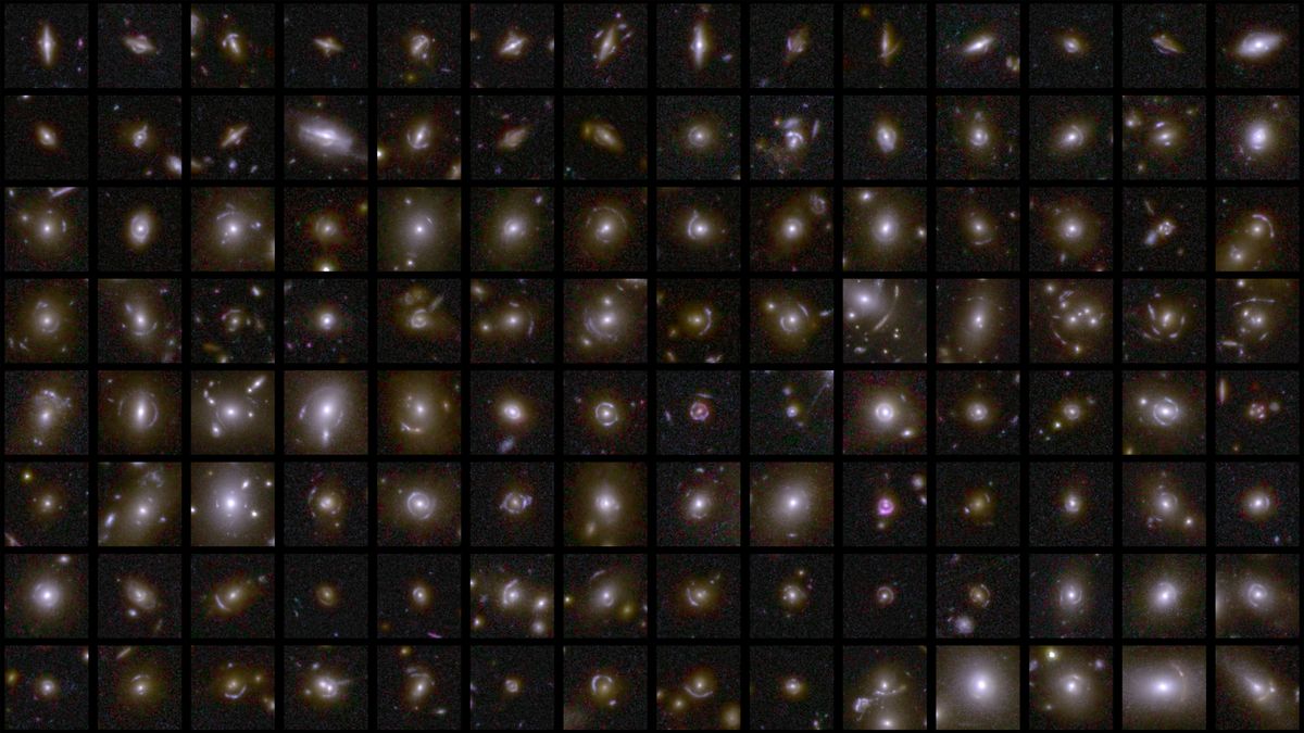 Euclid space telescope's 1st results reveal 'a goldmine of data' in ...