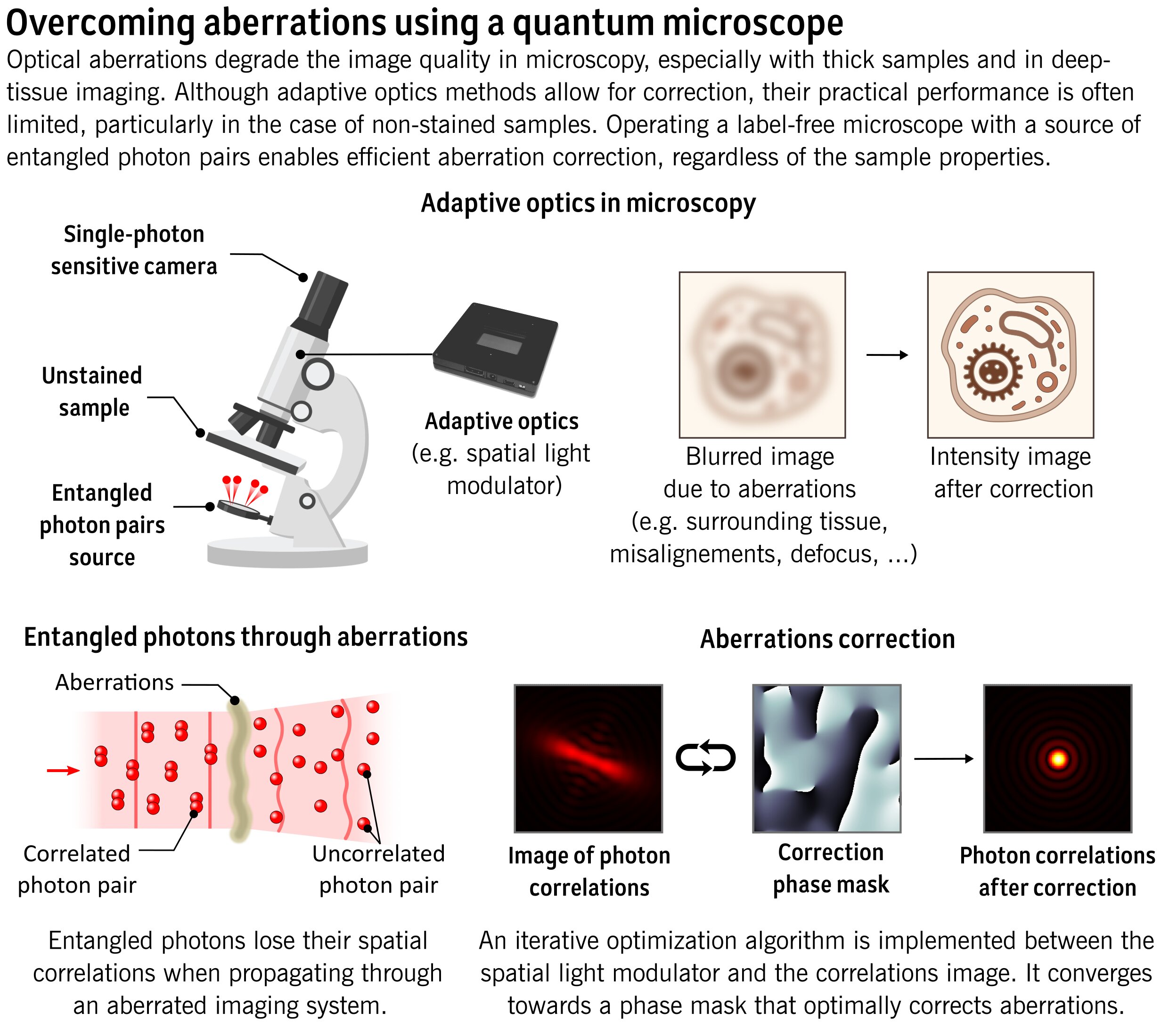 Quantum imaging could create bright future for advanced microscopes