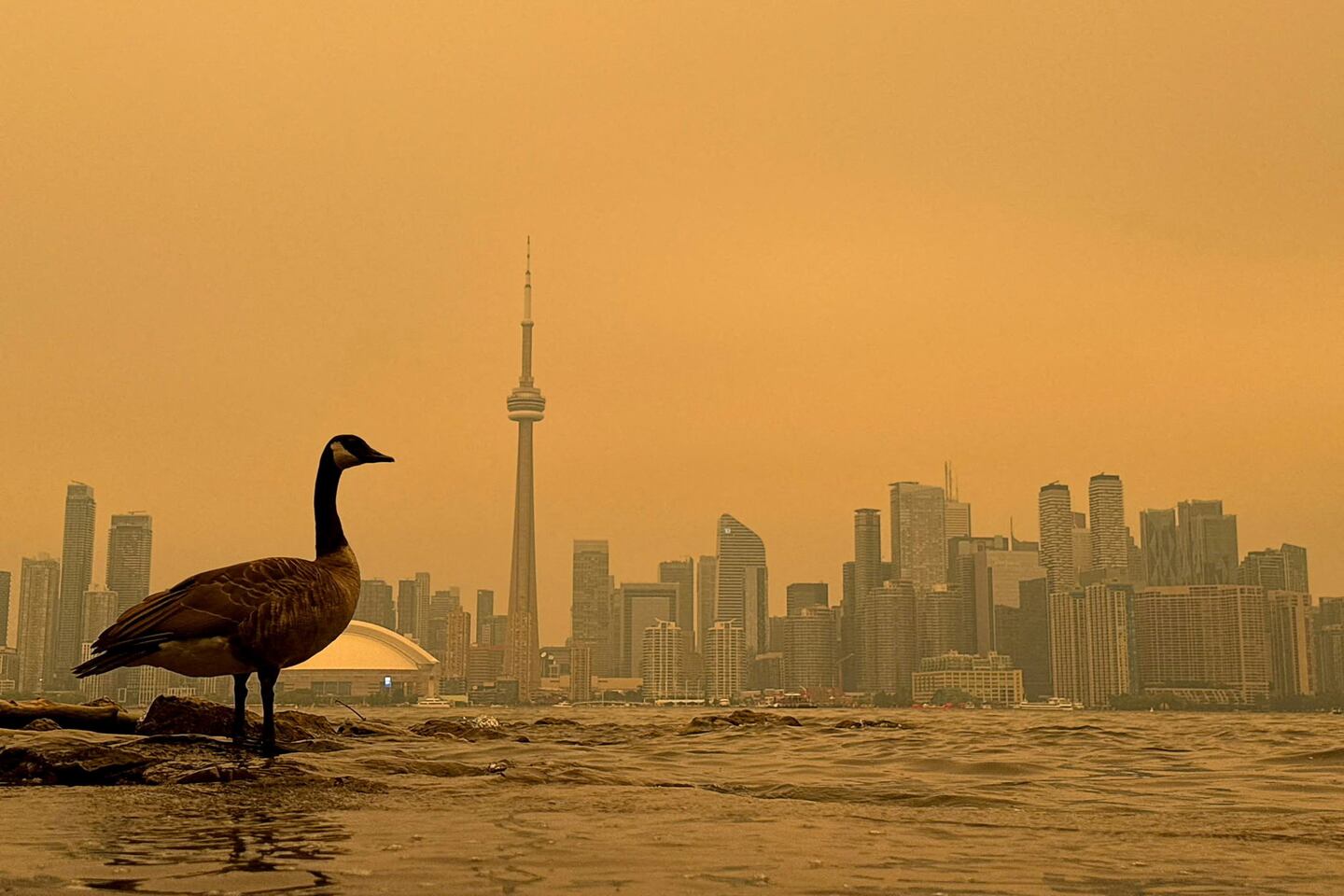 Toronto skyline shrouded in wildfire smoke, July 15 2026