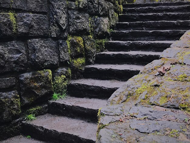 Premium Photo · Steps amidst stone wall